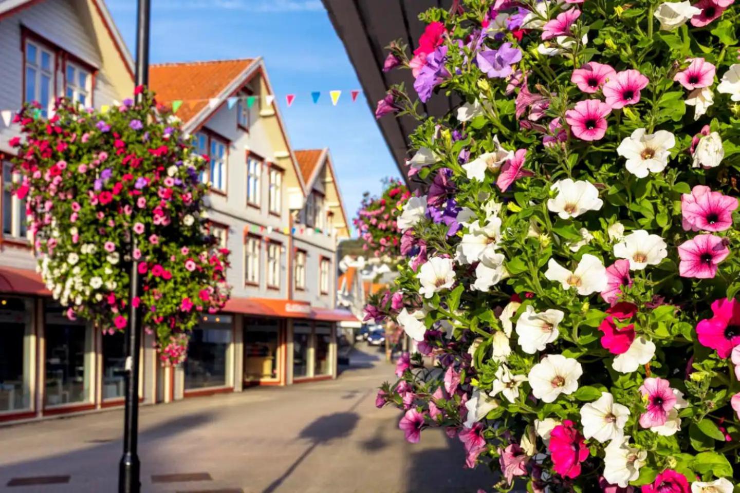 Stylish & Bright Penthouse - Office - 5 Star Location! Lejlighed Egersund Eksteriør billede